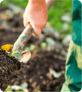 Mantenimiento de jardín